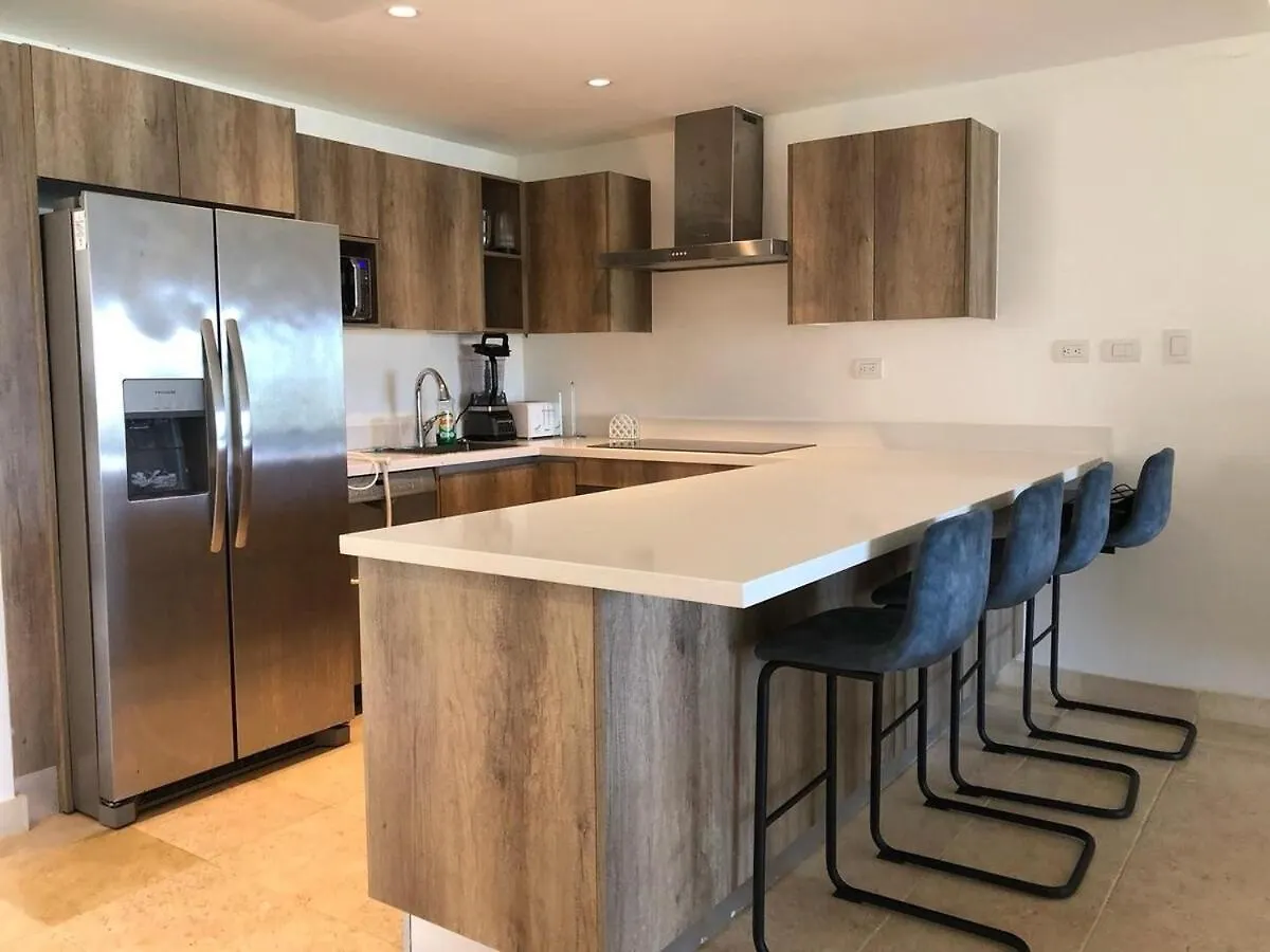 公寓 Large And Spacious 1 Bedroom Beachfront Condo In Cap Cana, 蓬塔卡纳
